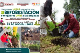 En este evento se presentará el primer vivero forestal en Santa Catarina del Monte.