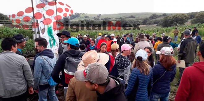 Exitosa reforestación de DigitalMex en el Nevado; la próxima, ¡por la Mariposa Monarca!