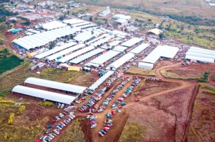 Central de Abasto de Villa Guerrero, municipio también conocido como “La capital de flor en México”