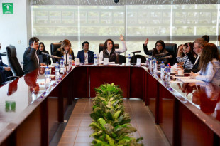 Amalia Pulido Gómez, durante la votación de la Agenda de Actualización 2026