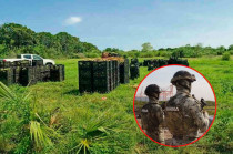 En aproximadamente dos horas, el grupo cargó cerca de mil rejas de mango, equivalentes a 22 toneladas.