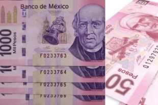 El proceso de retiro será llevado a cabo por los bancos, quienes se encargan de recoger los billetes antiguos y devolverlos al Banco de México para su eliminación definitiva que se espera sea en 2025.