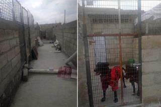 &quot;Imperio perrito&quot; consta de 10 nuevas jaulas, algunas dobles, otras individuales, todas construidas con concreto