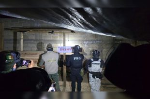 Autoridades federales y estatales aseguraron dos inmuebles en Ocuilan y decomisaron más de 21 mil metros cúbicos de madera presuntamente ilegal.