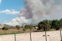 El fuego avanza rápidamente en San Miguel Xometla, San Pedro Tepetitlán y Chipiltepec, impulsado por viento y vegetación seca.