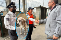 Un cachorro fue rescatado en una vialidad de alta afluencia en Toluca y entregado a su dueño gracias a la coordinación entre policías y vecinos.