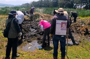 El hallazgo se registró durante una jornada de búsqueda realizada por colectivos de familiares de personas desaparecidas en la zona oriente del Valle de México.