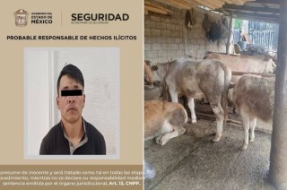 Tras una movilización se logró la detención de Alberto “N” de 25 años, quien tenía en su poder un arma de fuego artesanal tipo rifle calibre 22 milímetros.