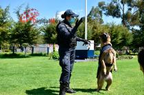 Se buscan alternativas para asegurar una jubilación digna para los canes, que actualmente forman parte de la corporación.