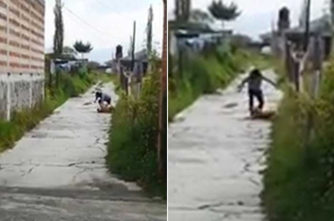 #Video: #RedesSociales: Graba cuando golpean a su perro con martillo y "no lo defiende", en Otzolotepec