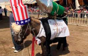 Feria del Burro en Otumba, ya no se hará en las calles