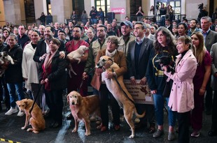 La Gobernadora Delfina Gómez Álvarez entregó reconocimientos a personas adoptantes 