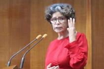 La diputada no descarta que la Constitución requiera una revisión