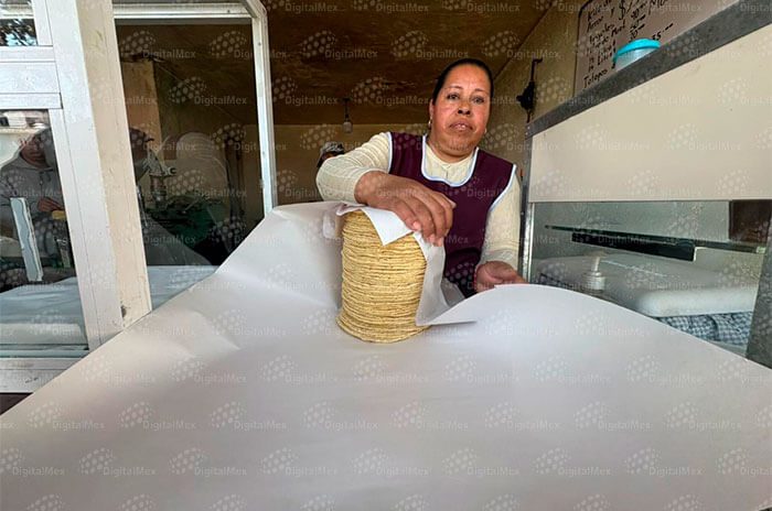 El Consejo Nacional de la Tortilla informó que el ajuste responde a costos de producción acumulados y no al precio de la harina.
