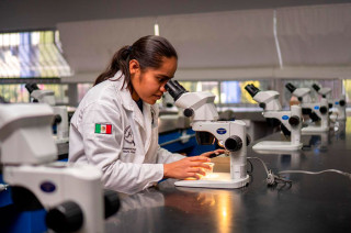 La investigación tuvo como objetivo evaluar opciones de manejo biorracional, mediante el análisis de 11 extractos botánicos