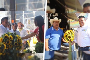 #Video #VillaGuerrero: Floricultores reconocen visión de Tito Maya y se suman a su proyecto