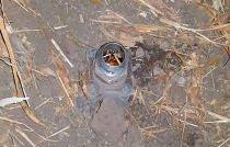 Elementos de la SSEM recuperan cerca de 4 mil litros de gasolina robada