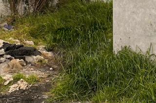 El cuerpo fue ubicado sobre la avenida Las Torres y Fuentes de Cibeles.