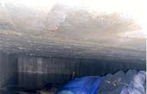 Un olor fétido alertó a los vecinos sobre la muerte de una persona