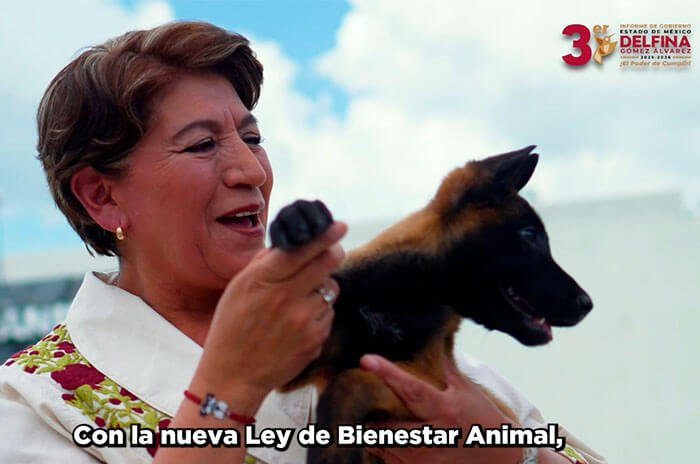 La gobernadora Delfina Gómez destaca que el bienestar de los seres sintientes es parte de la transformación del Edoméx.