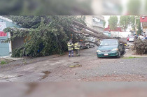 Elementos de la Coordinación de Protección Civil y Bomberos Municipal atendieron de manera inmediata la caída de un árbol en la calle Guillermo Prieto, incidente que afectó un vehículo estacionado y provocó el corte temporal del suministro eléctrico.