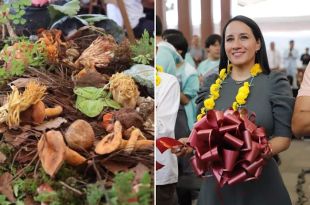 Realizan Festival del Hongo en Valle de Bravo