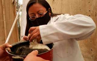 Había varios cachorritos