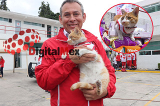 El protagonista fue “Cruzberto”, el gato voluntario de la institución, quien acompañó a chicos y grandes en demostraciones de rappel y tirolesa, así como en una activación con ambulancias para conocer su funcionamiento.