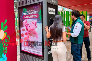 Al hacerlo, acumulará puntos que se pueden intercambiar por beneficios