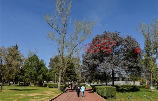 #Metepec: promueven usuarios de parque, amparo federal contra uso de la Guardia Nacional