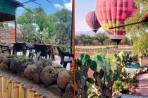 Se refirieron al restaurante "La Rústica", construido sobre terrenos con vestigios arqueológicos protegidos