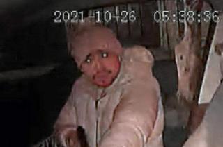 El sujeto fue identificado como Jorge David "N" alias "El vida".