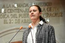 Mónica Angélica Álvarez Nemer, planteó reformar ordenamientos mexiquenses