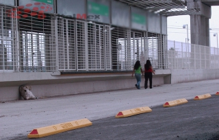 Desmiente GEM asalto a Mexibús: fue una riña estudiantil