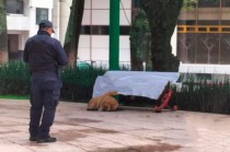 Elementos de la Secretaría de Seguridad del Estado de México acordonaron la zona tras el hallazgo.