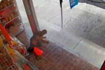 #Video: Atacan a balazos carnicerías en #Tultitlán; hay heridos