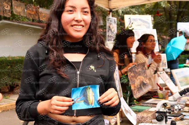 Investigadores confirmaron 12 ranas Dryophytes eximius con anomalías físicas en Toluca