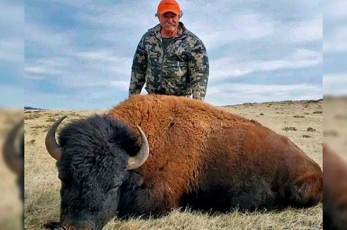 Video: Muere empresario aplastado por elefantes en safari