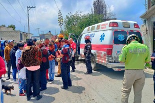 En el área común se encontraban alrededor de 30 estudiantes y las abejas salieron