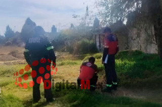 La pequeña llevaba unas horas de haber nacido y fue un habitante que pasaba por la zona quien observó el bulto colocado entre la maleza.