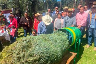 Las familias mexiquenses que bien pueden elegir uno de los plantíos en Google Maps