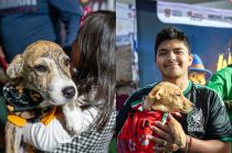 La iniciativa estatal se acerca a las 200 adopciones de perros rescatados.