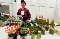 A pesar de retos como costos elevados, dificultades de exportación y registro de marca pendiente, mantiene prácticas orgánicas y sostenibles