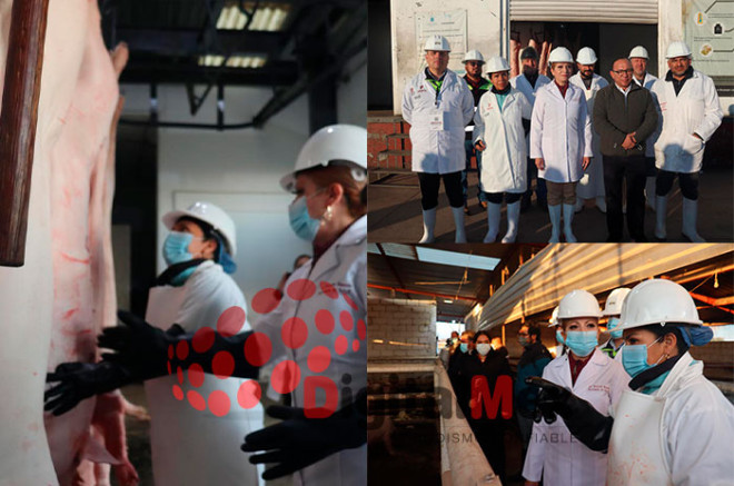 Video: Sin casos humanos de gusano barrenador; Edoméx refuerza vigilancia en rastros