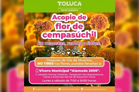 Invita #Toluca al reciclaje de flor de cempasúchil