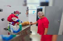 El Centro de Control y Bienestar Animal mantendrá activos los servicios gratuitos de esterilización y vacunación durante las vacaciones de verano.