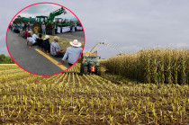 La medida busca garantizar un precio justo para los agricultores ante la crisis del sector rural.