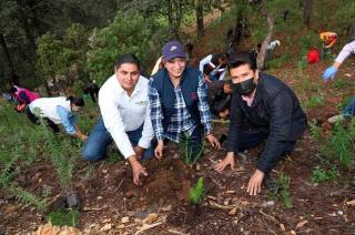 La meta es plantar 110 mil árboles, de los cuales se han sembrado aproximadamente 40 mil