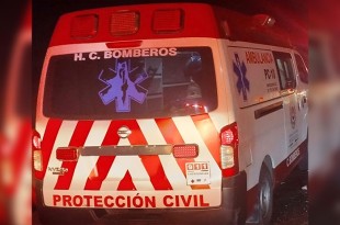 La víctima, un hombre de 35 años, viajaba como ayudante cuando, por causas aún no esclarecidas, la unidad perdió el control y terminó impactándose contra un puente peatonal.