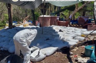 Autoridades federales desmantelaron en Sinaloa un laboratorio clandestino de gran magnitud.